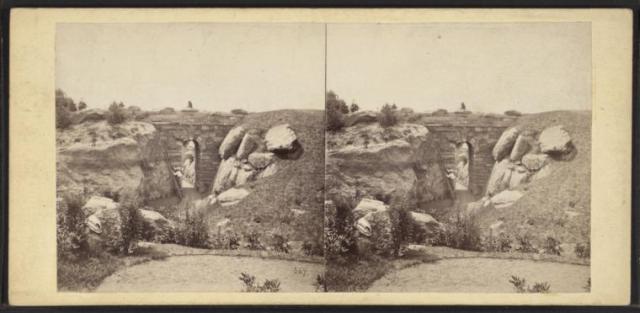 Central Park. The Ramble. (1863. Image Courtesy of the New York Public Library)